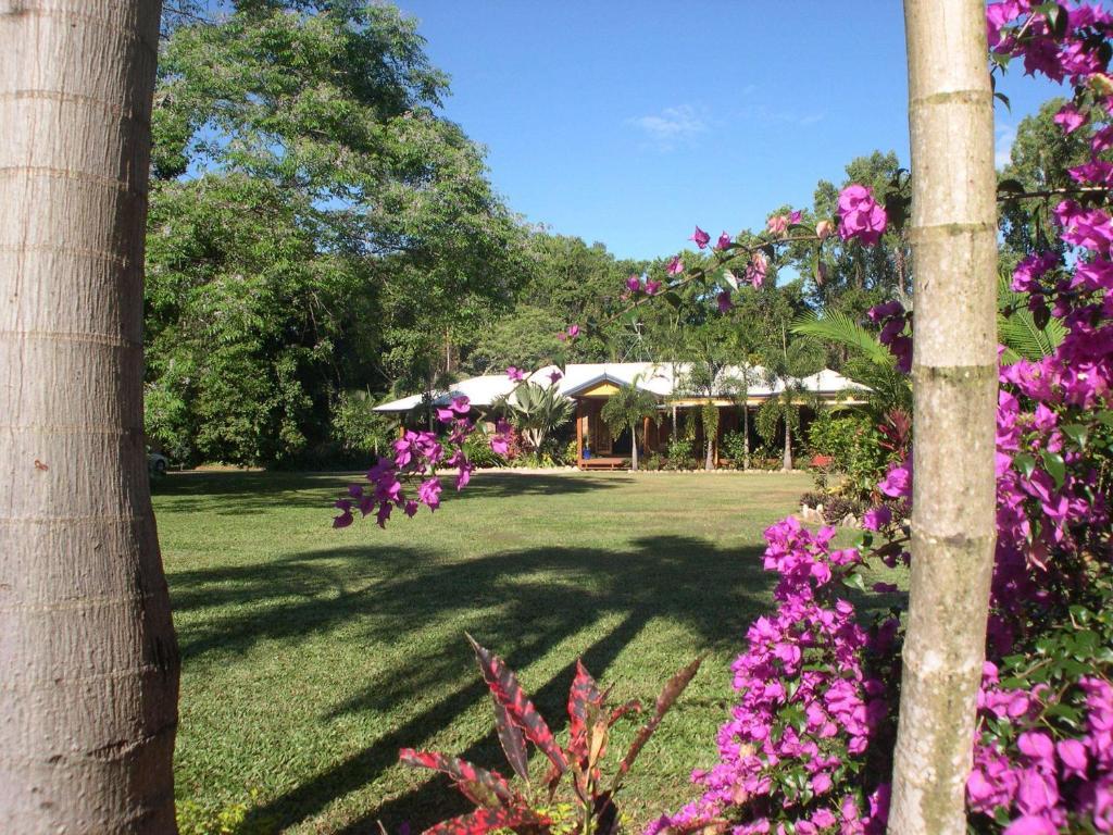 Hibiscus Lodge Bed & Breakfast Wongaling Beach Exterior photo